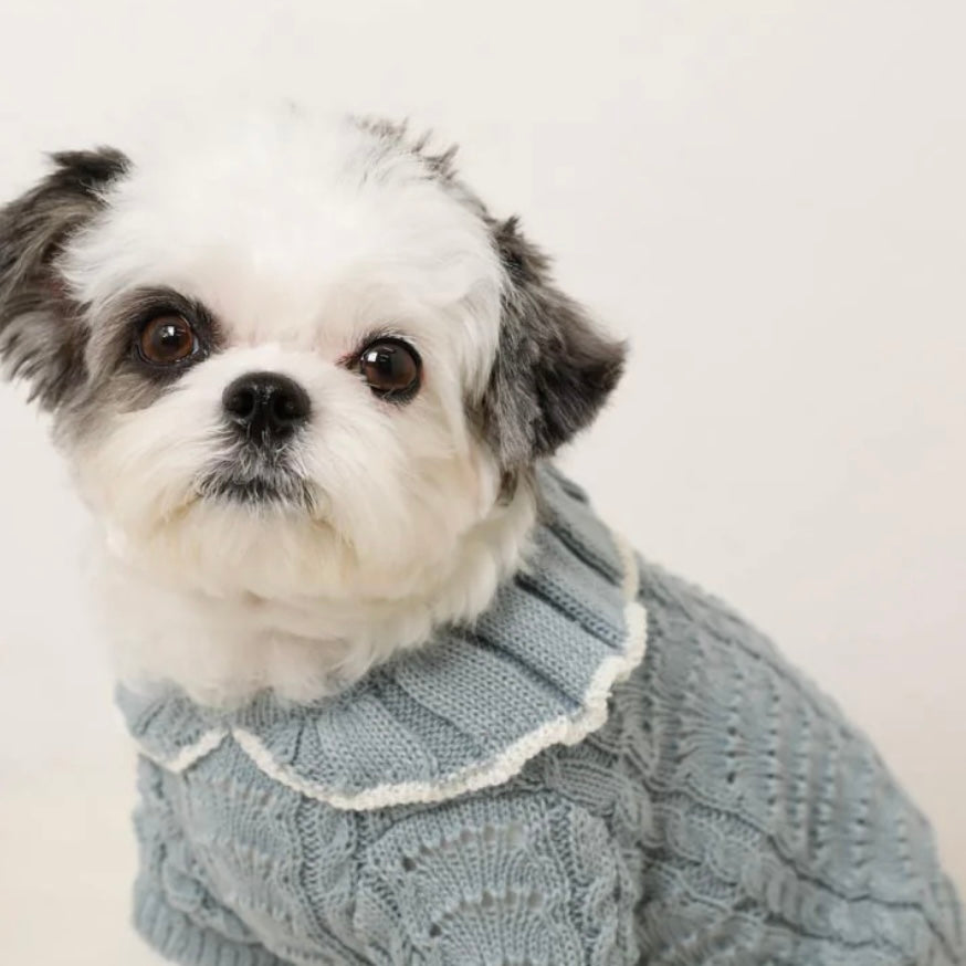 RUFFLED COLLAR KNIT TOP