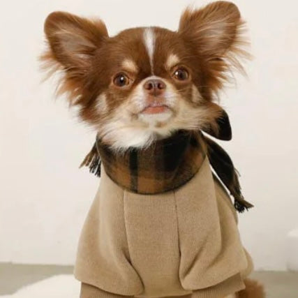 PULLOVER WITH PLAID SCARF