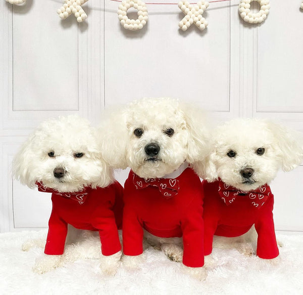 RED TURTLENECK TEE – ARCHIE AND WINSTON DOG GOODS