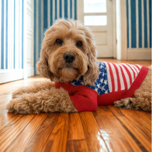 Load image into Gallery viewer, All-American Sweater