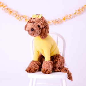YELLOW TURTLENECK TEE by Archie & Winston