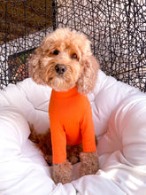Load image into Gallery viewer, ORANGE TURTLENECK TEE by Archie &amp; Winston