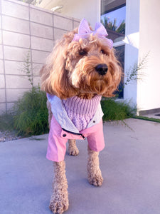 PINK RAINCOAT