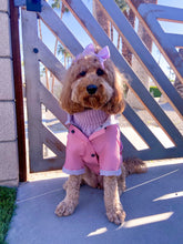 Load image into Gallery viewer, PINK RAINCOAT