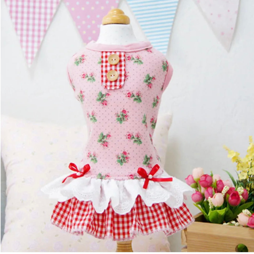 PICNIC PINK DRESS